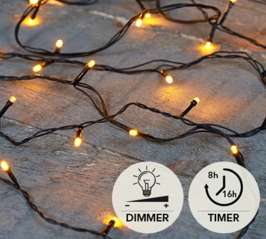 Anna's collection kerstverlichting 40L
