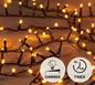 Led ivy 700L/16M warm wit