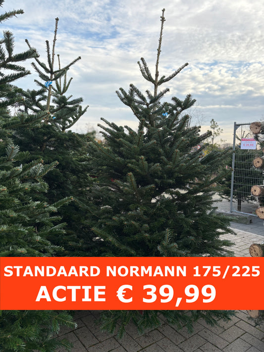 Actie Nordmann 175/225