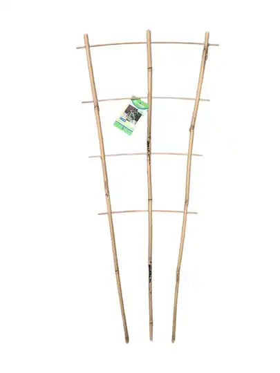 TU Flora World Bamboe Plantenrek — 110cm