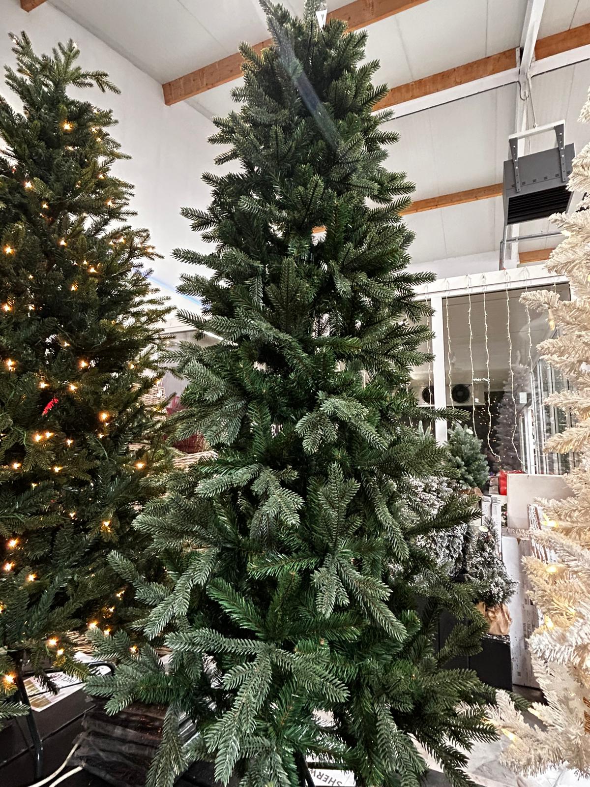Kerstboom Sherwood Pillar
