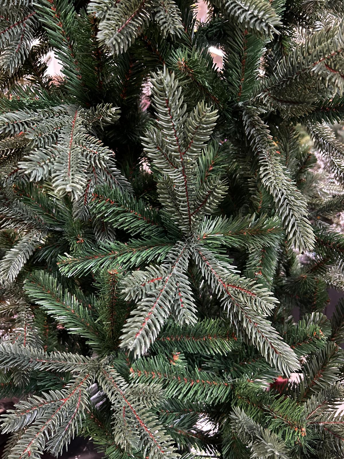 Kerstboom Sherwood Pillar