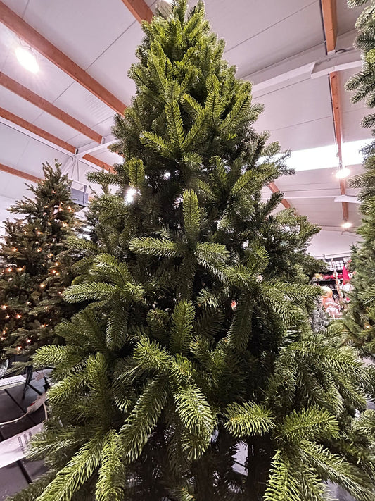 Kerstboom Bayberry Slim