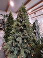 Kerstboom Carmanah incl LED