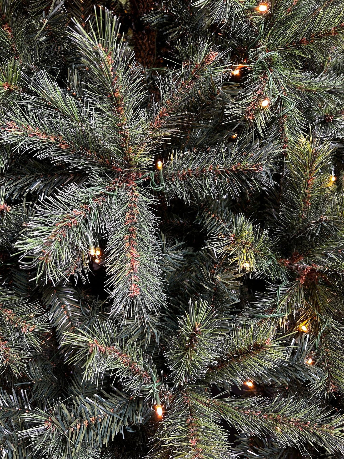 Kerstboom Carmanah incl LED