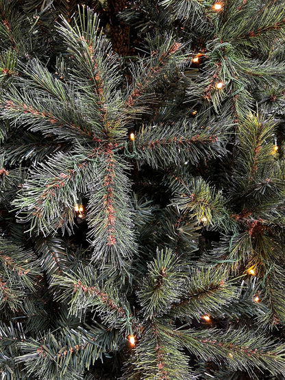 Kerstboom Carmanah incl LED