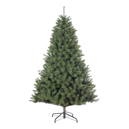 Kerstboom Carmanah