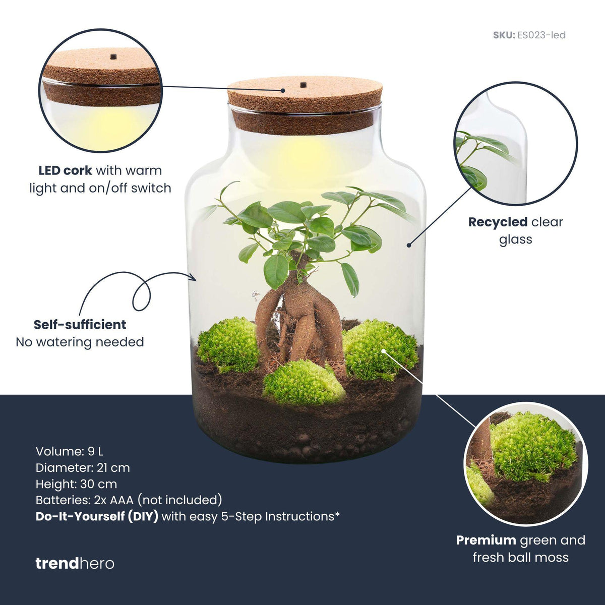 DIY Planten terrarium met licht - Milky Bonsai - Ø 21 cm ↑ 30 cm - Rake + Shovel + Tweezer + Scissors