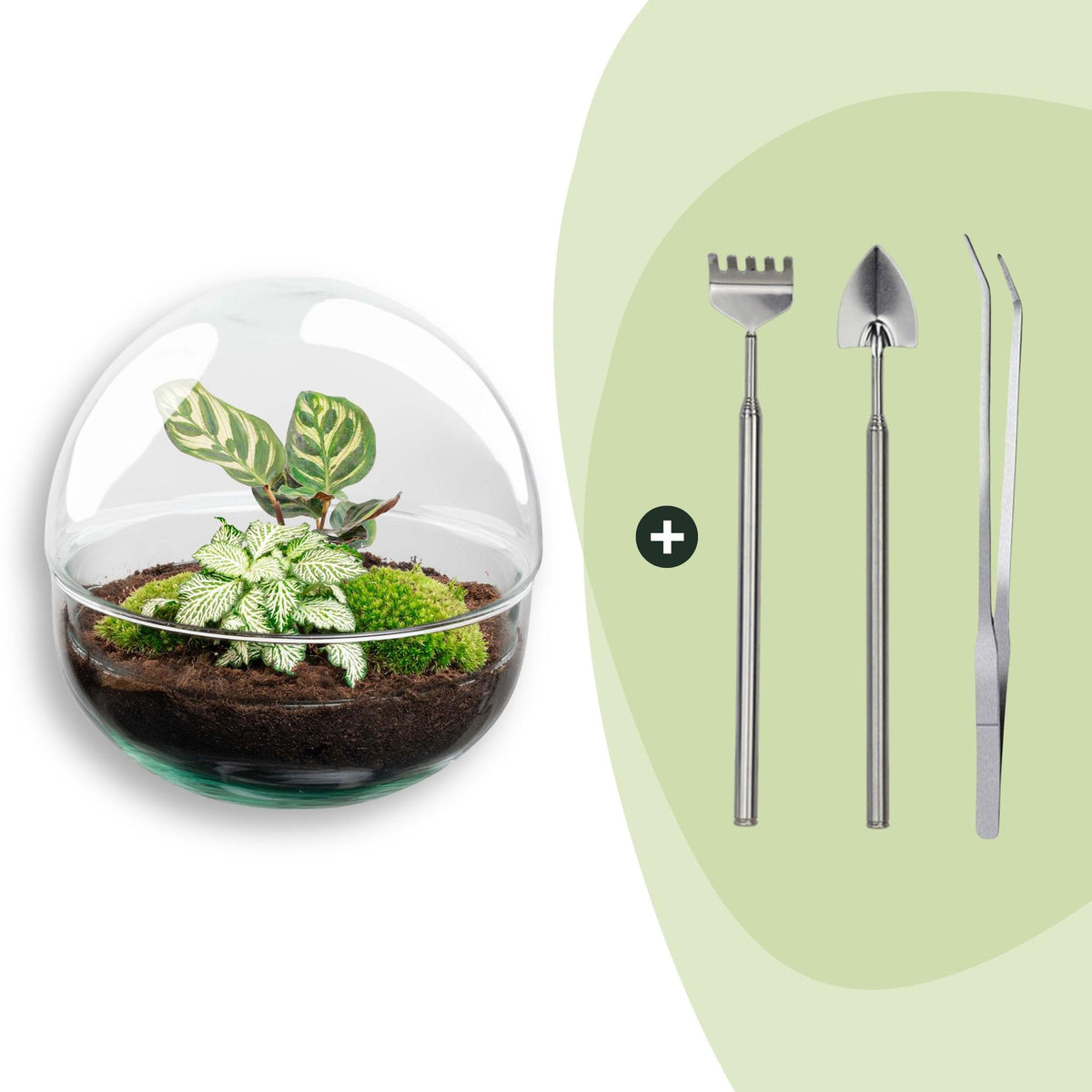 DIY Planten terrarium tweedelig bolglas - Dome - Ø 20 cm ↑ 20 cm - Rake + Shovel + Tweezer