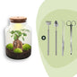 DIY Planten terrarium met licht - Milky Bonsai - Ø 21 cm ↑ 30 cm - Rake + Shovel + Tweezer + Scissors
