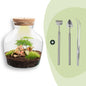 DIY terrarium - Little Joe met licht - ↕ 21,5 cm - Rake + Shovel + Tweezer