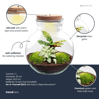 DIY Planten terrarium (met licht) - Teddy - Ø 25 cm ↑ 26,5 cm - Met LED-kurk