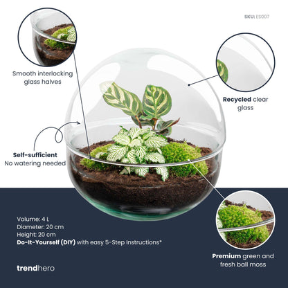 DIY Planten terrarium tweedelig bolglas - Dome - Ø 20 cm ↑ 20 cm - Rake + Shovel + Tweezer