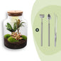 DIY Planten terrarium met licht - Milky - Ø 21 cm ↑ 30 cm - Rake + Shovel + Tweezer