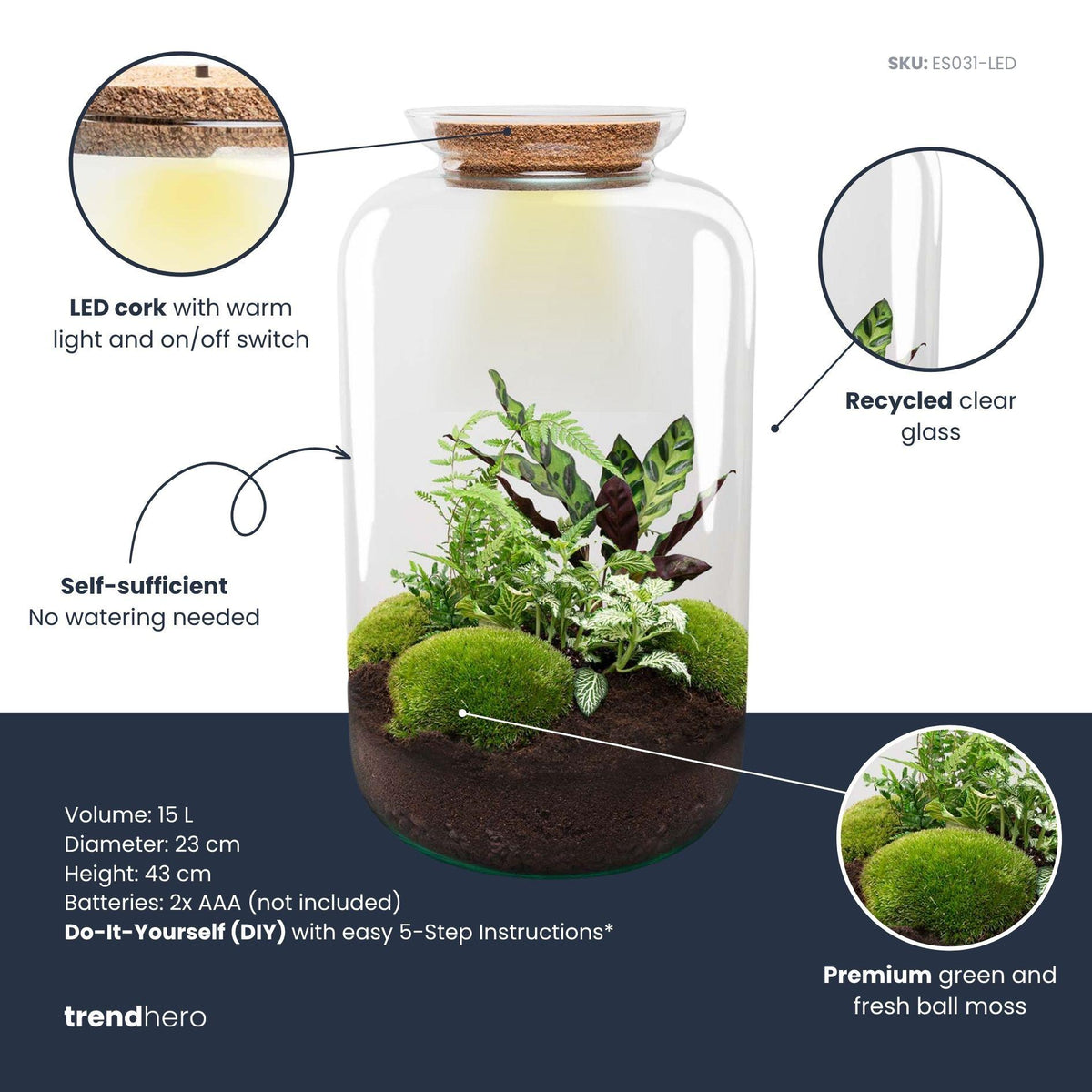DIY Planten terrarium met licht - Sven XL Botanical - Ø 23 cm ↑ 43 cm - No tools