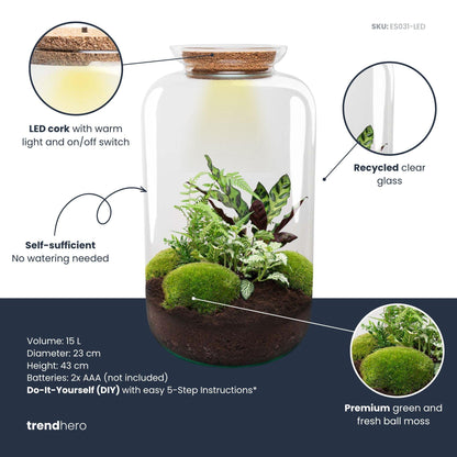 DIY Planten terrarium met licht - Sven XL Botanical - Ø 23 cm ↑ 43 cm - No tools