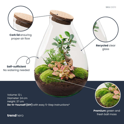 DIY Planten terrarium - Drop XL Bonsai 'red' - Ø 24 cm ↑ 37 cm - Rake + Shovel