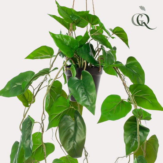 Kunstplant - Philodendron scandens - Klimmende Boomliefhebber - 80 cm